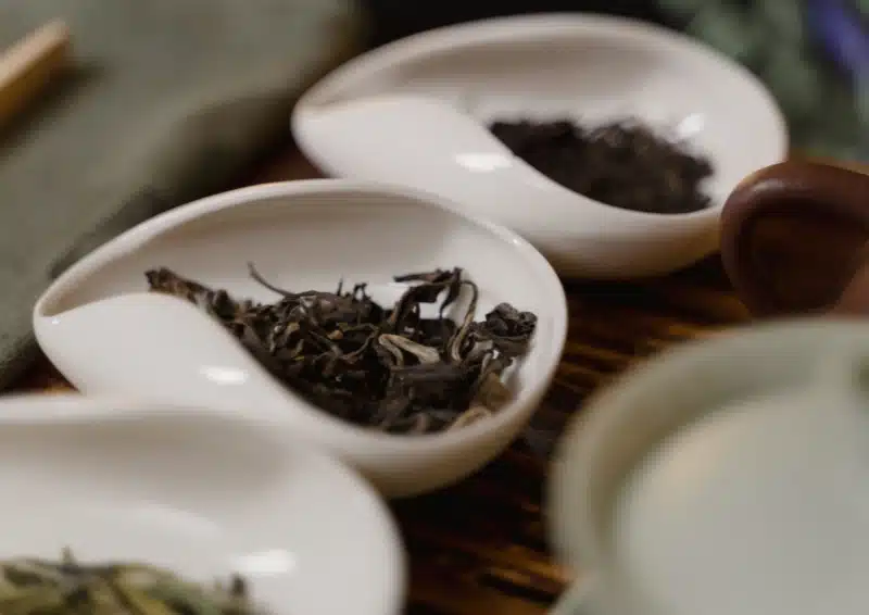 Drei längliche Teeschalen gefüllt mit Weißer Tee Tian San Yi Hao